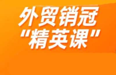 外贸二胎妈妈老林06-外贸销冠课【17章107节】