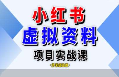 多米创业说02-小红书（虚拟资料）项目实战课【25节】