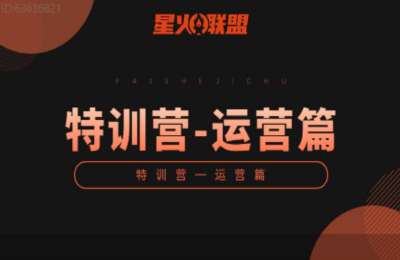 星火联盟特训营03-流量操盘手+抖音同城获客+视频号+抖音电商带货【4章42节】