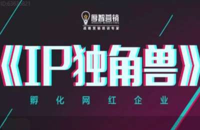 智慧聊IP01-IP独角兽：孵化网红企业【16节】