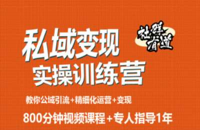 社群有道01-私域变现+私城增长实操训练营【4章96节】