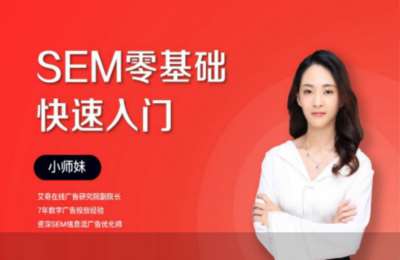 艾奇在线02-SEM 零基础快速入门【20节】