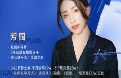 芳园私域IP社02-公私域闭环课+私域吸金闭环营【2章29节】