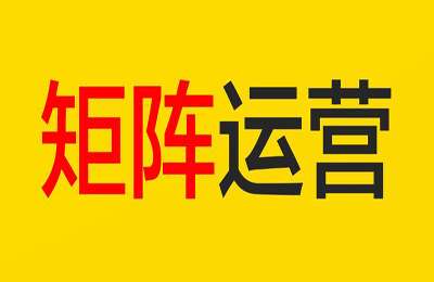 Allen01-TK小店系统运营课+TK投流矩阵系统运营课程【2门35节】