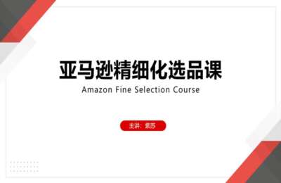 Amz紫苏01-亚马逊精细化选品+精细化运营课【2门23节】