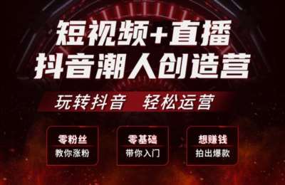 Mr王01-抖音短视频VIP学员图文带货+AI实操班【15节】