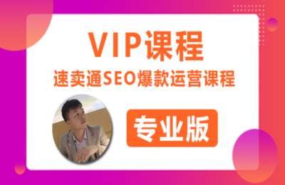 VIP知识课堂01-速卖通SEO爆款运营课程【2门9节】