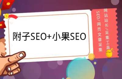 附子SEO02-附子SEO+小果SEO+其他知识【3门40节】