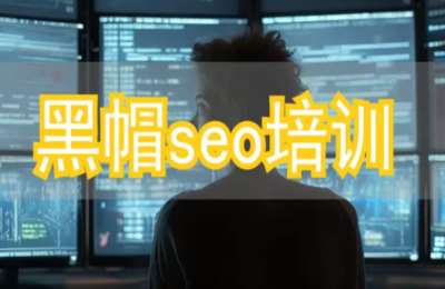黑帽seo培训01-黑帽SEO实战培训【38节】