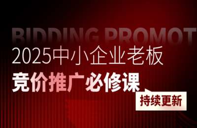 凯凯聊运营01-2025中小企业老板竞价推广必修课【30节】