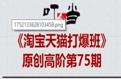 叮当会75期淘宝：《万相台无界3层推》