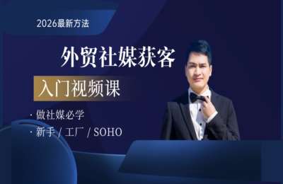 大卫外贸-2026大卫外贸社媒入门课+外贸社媒获客训练营11月+外贸社媒获客训练营2026年2月【3章9节】