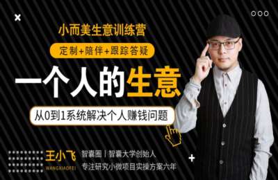 蜜蜂大学01-一个人的生意：从0到1，系统解决个人赚钱问题等全套课程【5门85节】