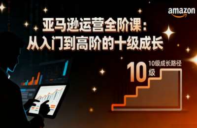 跨境女侠01-亚马逊运营全阶课：从入门到高阶的十级成长【8节】