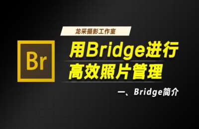 陶军摄影05-照片管理+私房拍摄+莫兰迪色调+民国复古风+漫画专题等后期教程【19门90节】