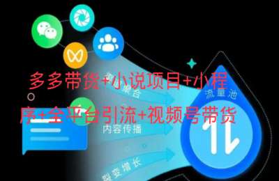隋十六01-多多带货+小说项目+小程序+全平台引流+视频号带货+闲鱼项目等【8门84节】