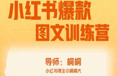 桐的直播间01-小红书爆款图文训练营【8节】