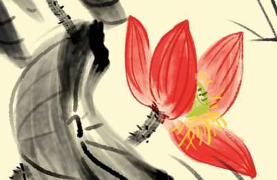 陶军摄影24-画意摄影-水墨荷花专题摄影【51节】