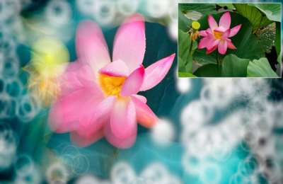 陶军摄影35-手机专题摄影【153节】