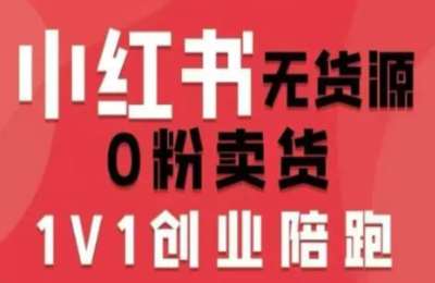 超级个体实验室-小红书无货源0粉电商课，开店准备+选品策略+笔记撰写+视频剪辑+数据分析+账号打造+资料文档