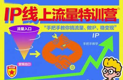 IP线上流量特训营，手把手教你搞流量、做IP、稳变现