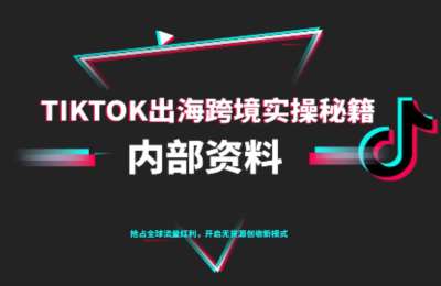 TikTok跨境电商0-1搭建运营，一门专为新手打造的实战课程
