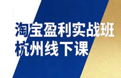 爱上黄昏-淘宝盈利实战班杭州线下课12月26-28日（音频 字幕），帮你掌握SOP流程 12门核心技术
