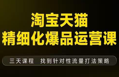 猫课-子幽·淘宝天猫精细化爆品运营【音频+字幕+文档】(9月12-14杭州线下课)