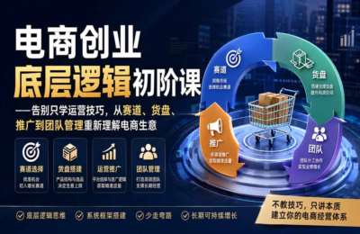 电商创业底层逻辑初阶课——告别只学运营技巧，从赛道、货盘、推广到团队管理重新理解电商生意