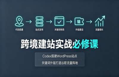 大卫外贸-外贸人Codex建站课程