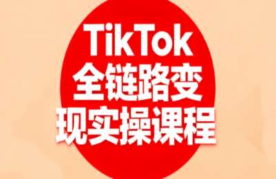 小杨老师-TikTok跨境变现课：账号起号、独立站搭建、投流优化，30天实现月入10w美金