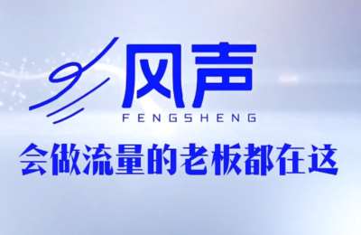 董十一·风声短视频AI获客年度会员,紧跟AI获客趋势,深度拆解100+实战案例