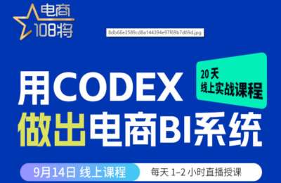 贾真电商-用Codex做出电商BI系统
