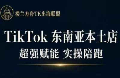 三叔·TikTok东南亚本土店实操